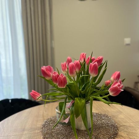 Apartament Kaszmirowy Bielsko-Biała Buitenkant foto