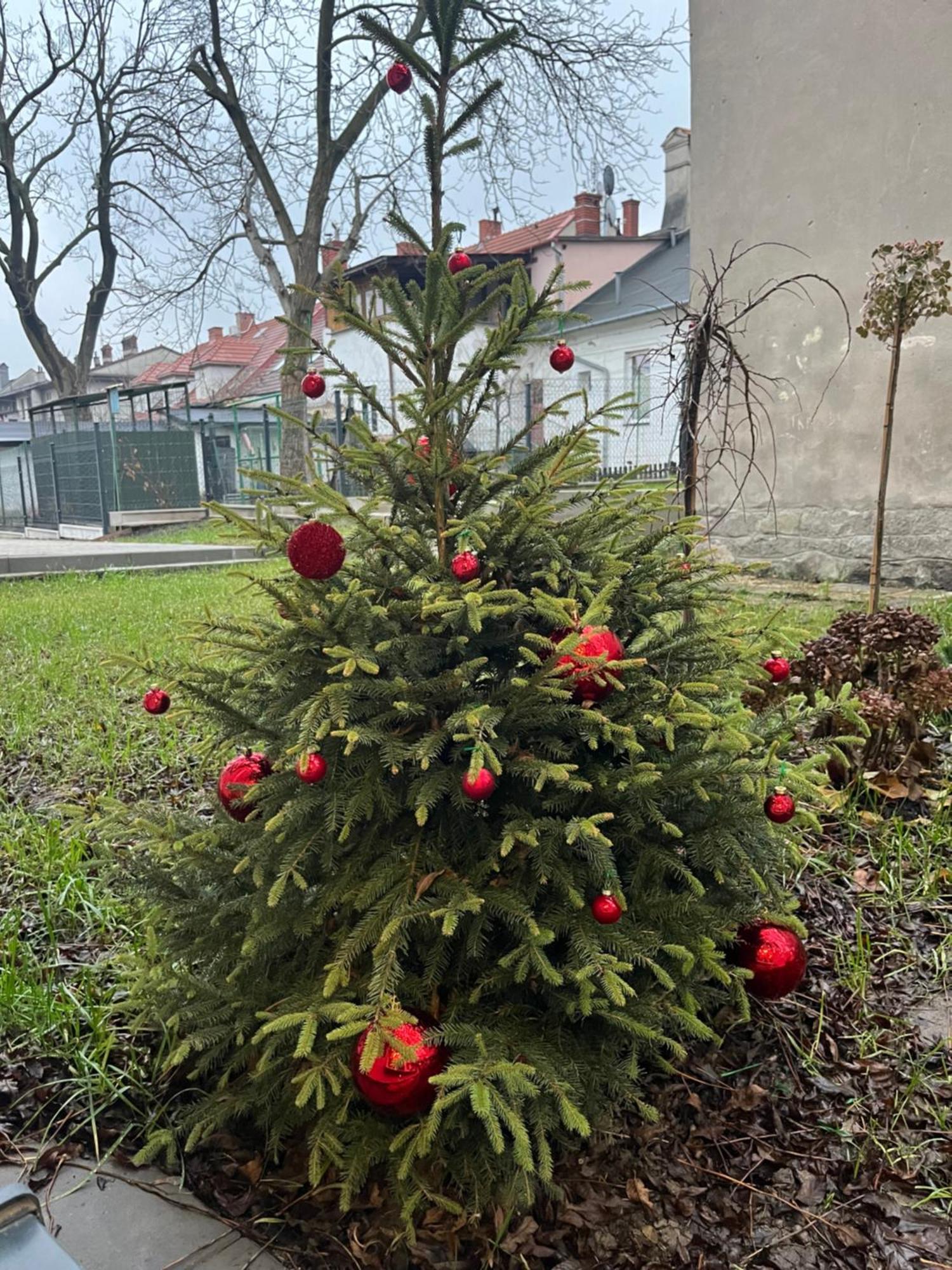 Apartament Kaszmirowy Bielsko-Biała Buitenkant foto