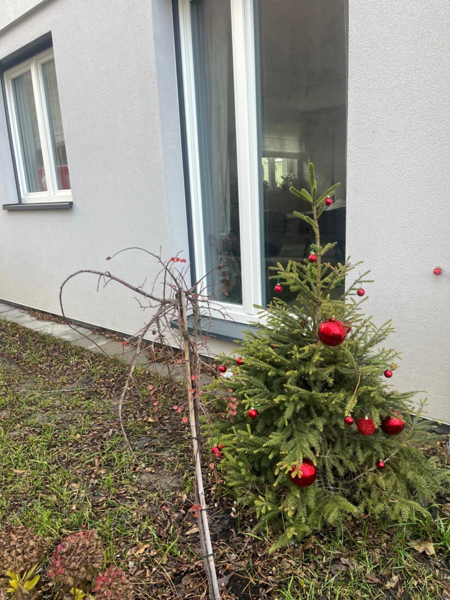 Apartament Kaszmirowy Bielsko-Biała Buitenkant foto