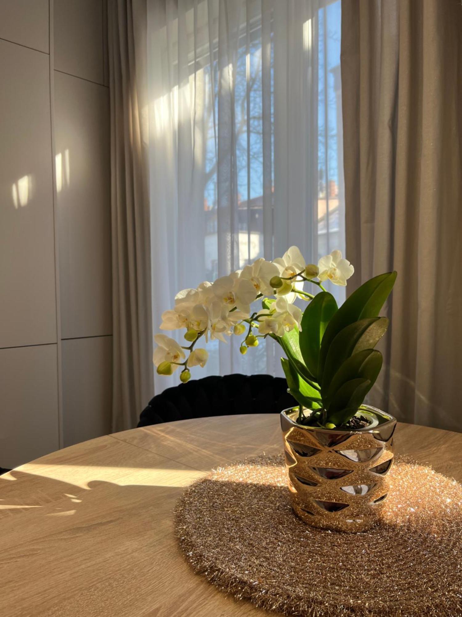 Apartament Kaszmirowy Bielsko-Biała Buitenkant foto