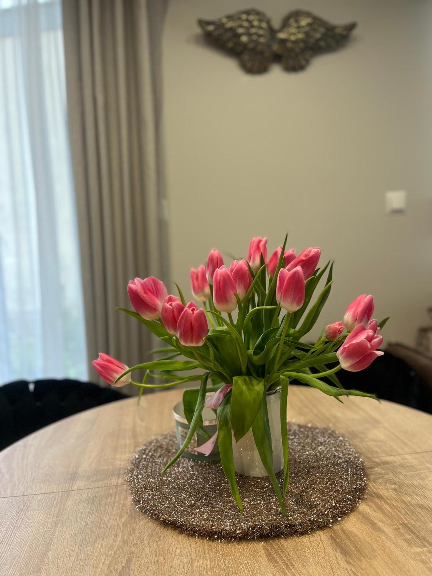 Apartament Kaszmirowy Bielsko-Biała Buitenkant foto